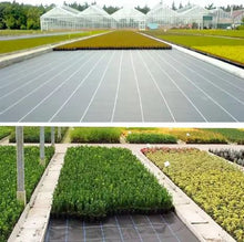 Agrotkanina Czarna 160cm x 50m UV 90g Antychwastowa Agrowłóknina + Kotwy