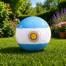 Piłka Nożna Treningowa Do Nogi Na Trawę Boisko Barwy Argentyny 22cm r.5